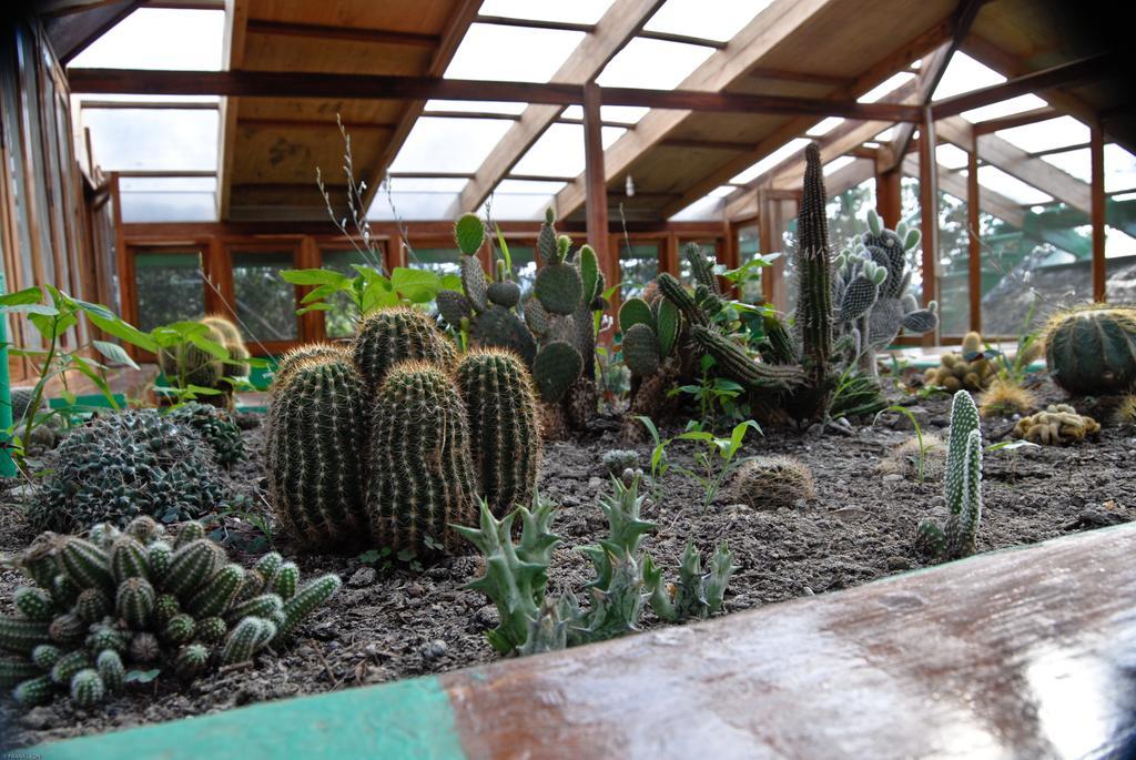 Hosteria Mandala Puerto López Exterior foto